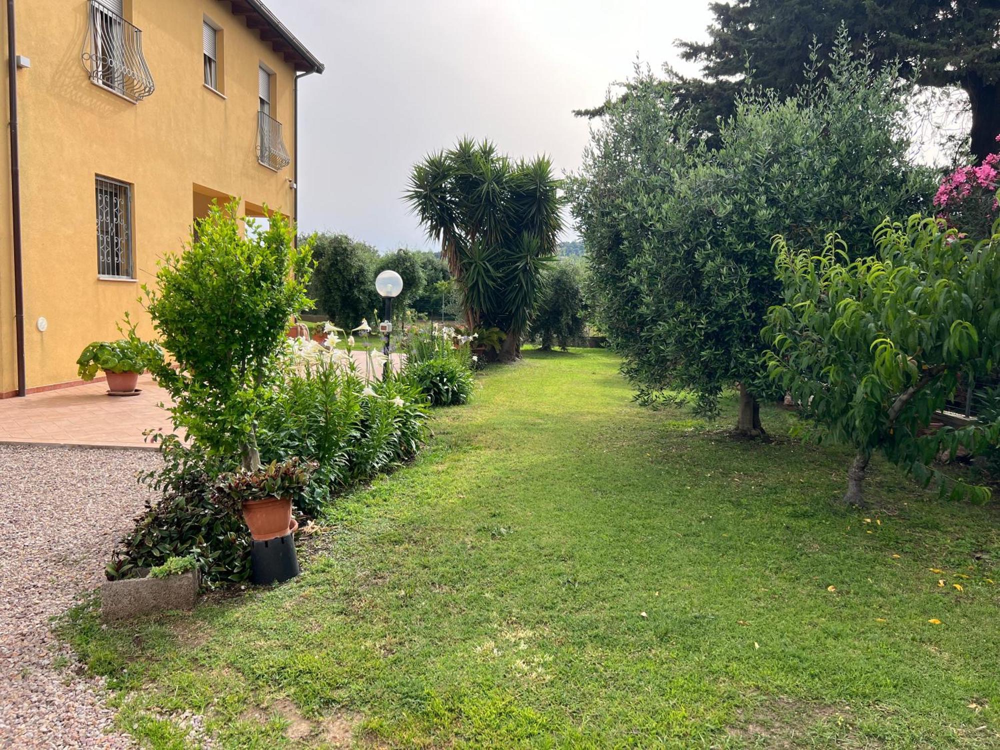 Agriturismo Il Giardino Degli Olivi Appartamenti Castiglione della Pescaia Eksteriør billede