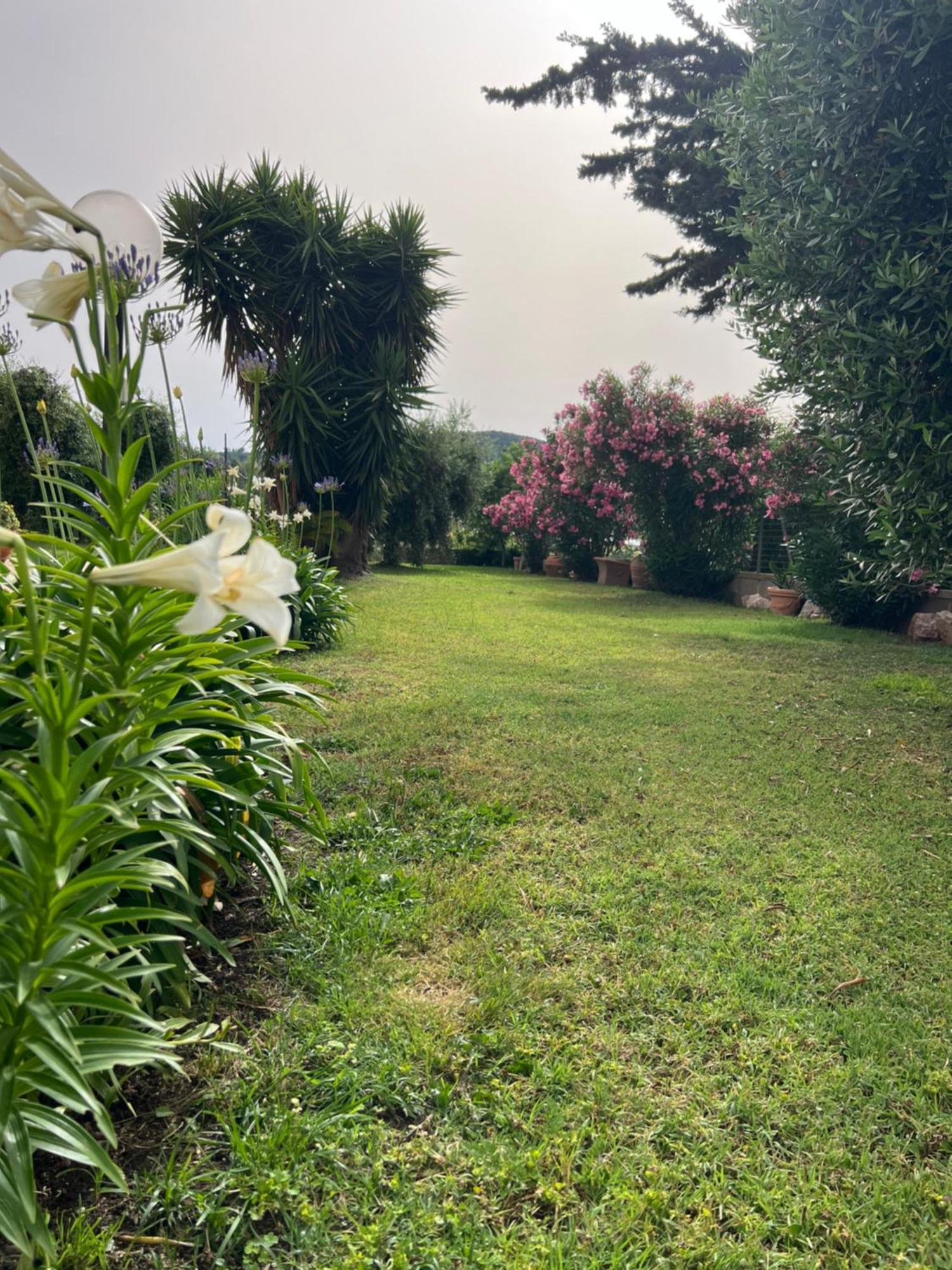 Agriturismo Il Giardino Degli Olivi Appartamenti Castiglione della Pescaia Eksteriør billede