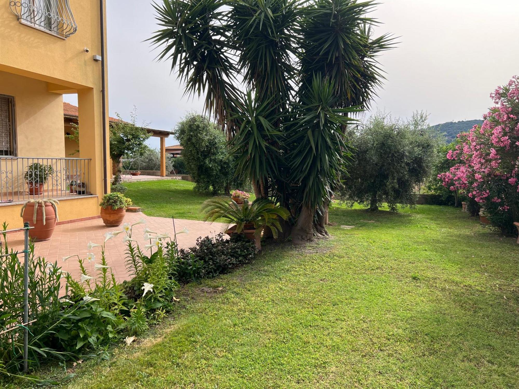 Agriturismo Il Giardino Degli Olivi Appartamenti Castiglione della Pescaia Eksteriør billede